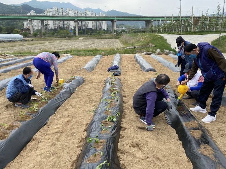 2021.04.27 농업기술센터 텃밭 가꾸기(여가프로그램)