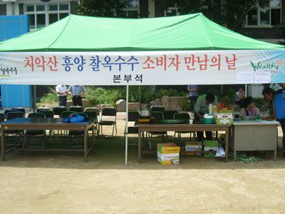 옥수수 맛보기 행사 참여