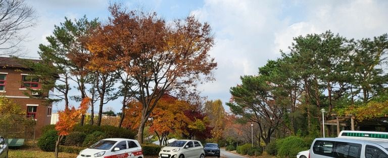 시설 가을 전경