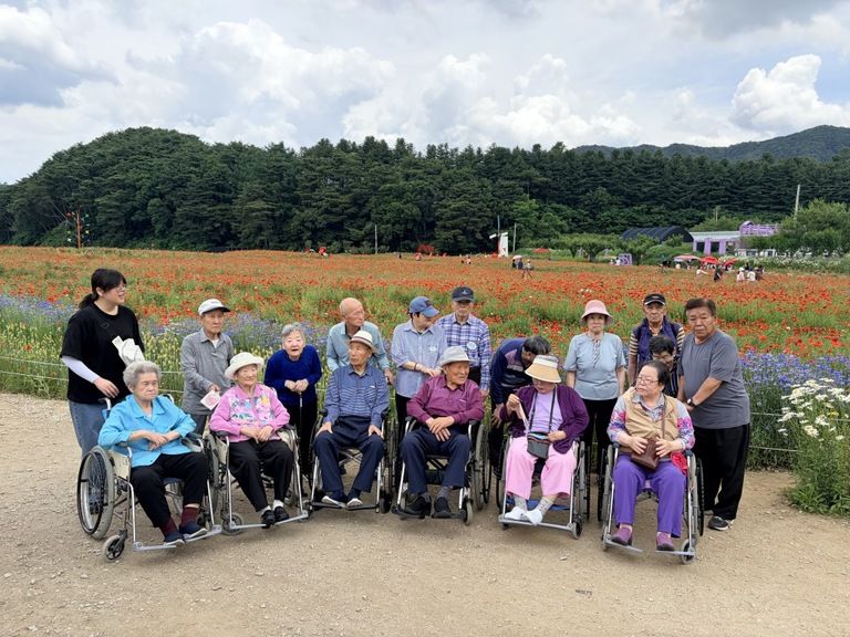2026.06.04 양귀비축제