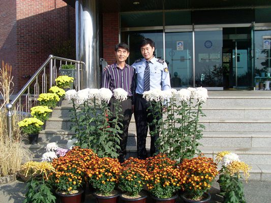 원주교도소 국화전달