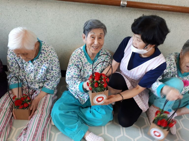 건강보험공단의 카네이션 화분150점