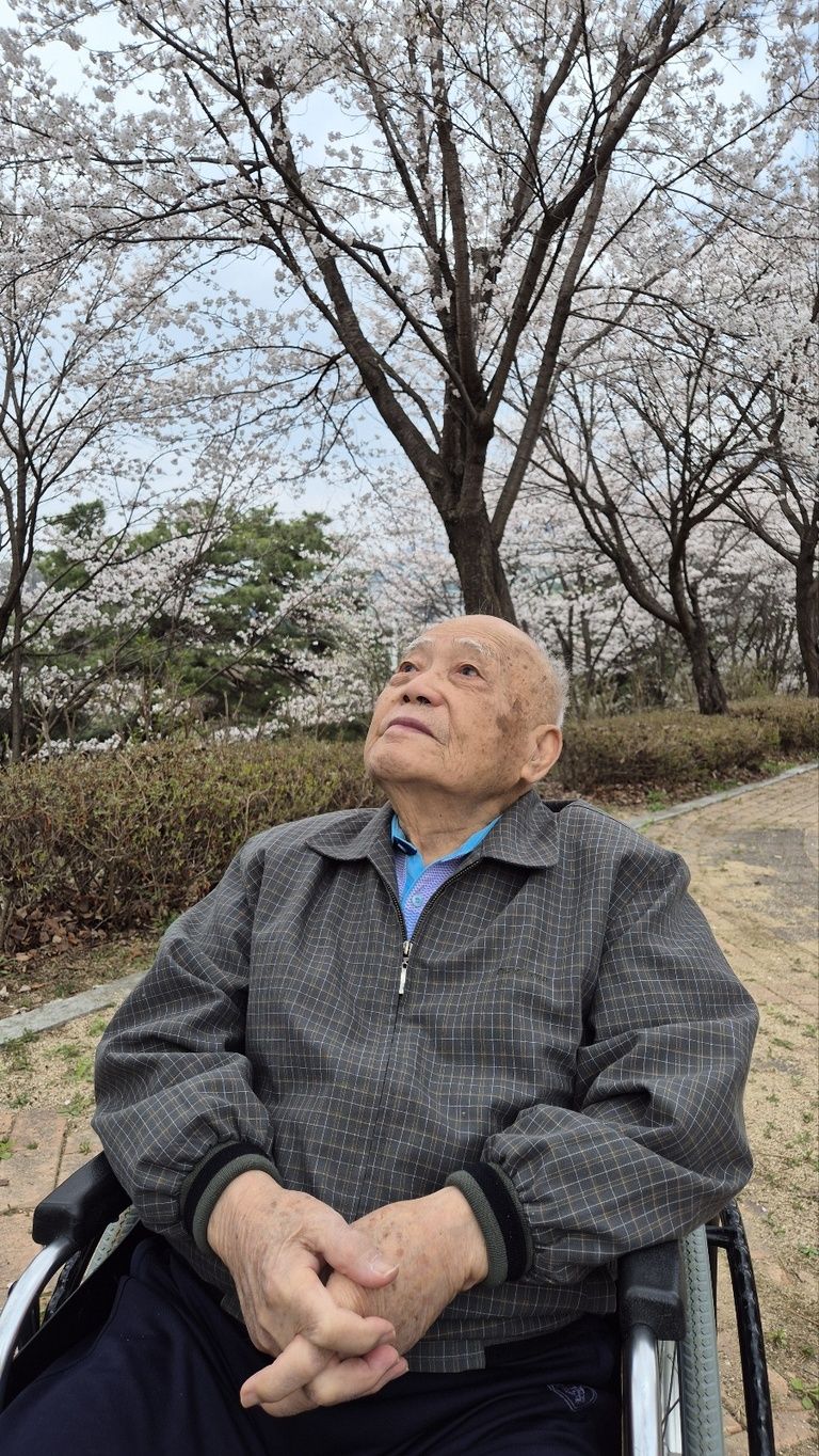 2025. 4. 10. 서로사랑공원 벚꽃 나들이 