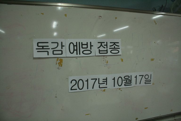 2017. 10. 17.  독감예방접종