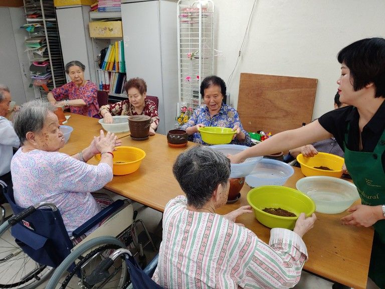 2019년 10월 원예치료
