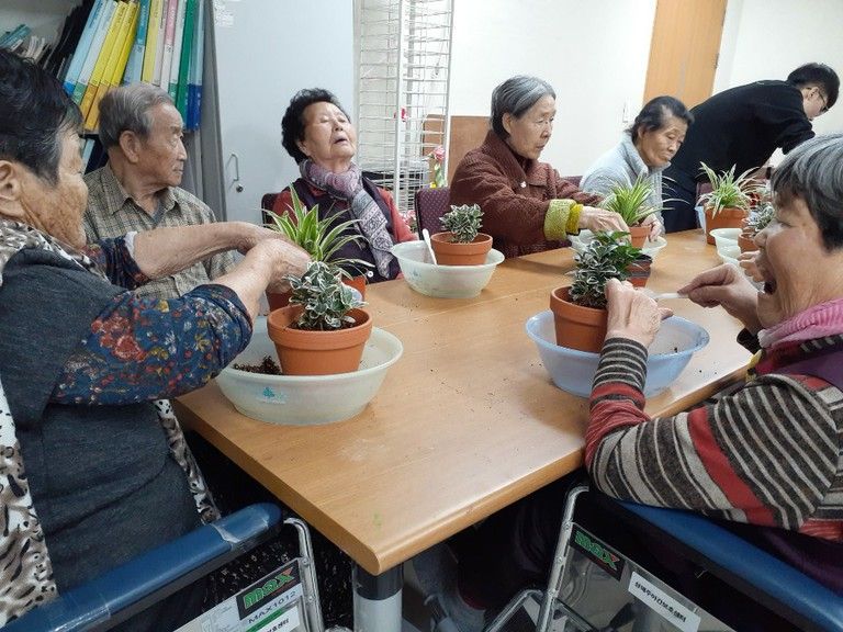 2019년 11월 원예치료