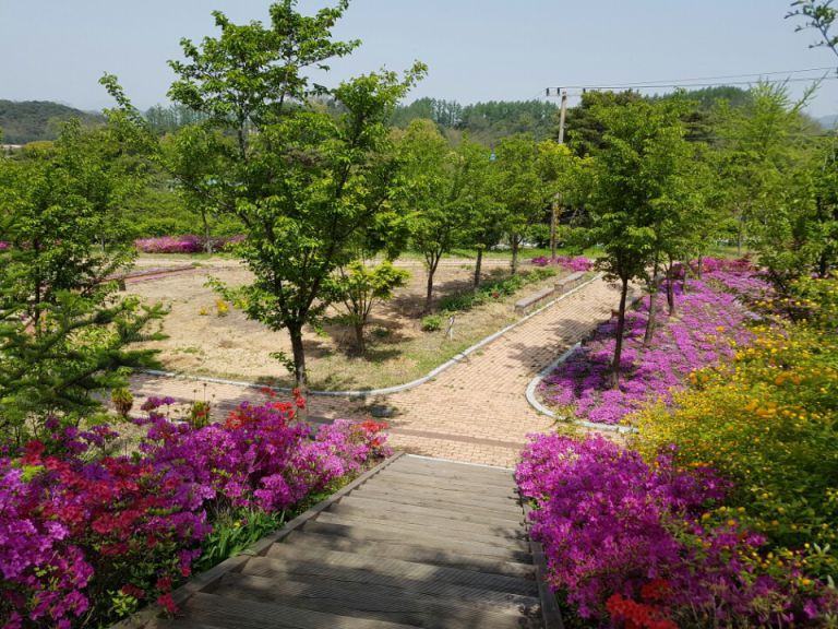 상애원 봄 풍경